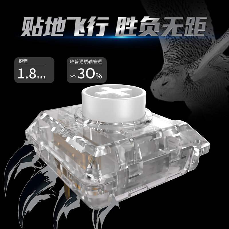 Kailh Choc White Owl Switch Mi – Pc Gaming White Bewertung und Preis